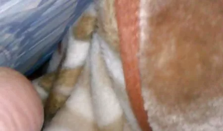الروسية كبير الثدي و سكس أجنبي مقاطع الحمار كبيرة زوجته