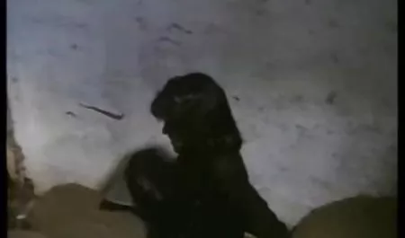يقودها فيلم سكس كامل اجنبي الأطفال
