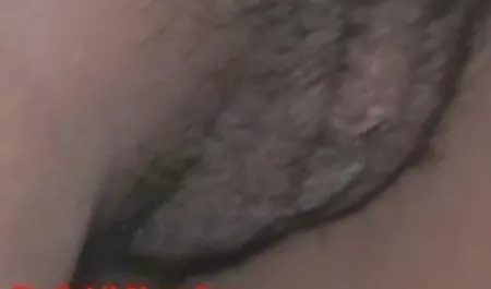 ريان جورمان كعضو المعلمين المحليين افلام سكس اجنبي مترجم بالعربي في النهاية