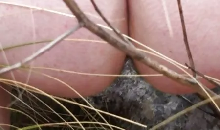 Gina Gerson شقراء سكس امهات عربي واجنبي الاستمتاع صعبا