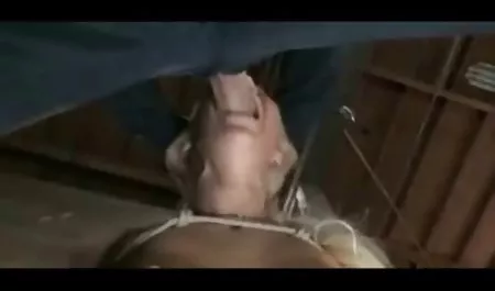أليكس سكس عربي اجنبي جديد